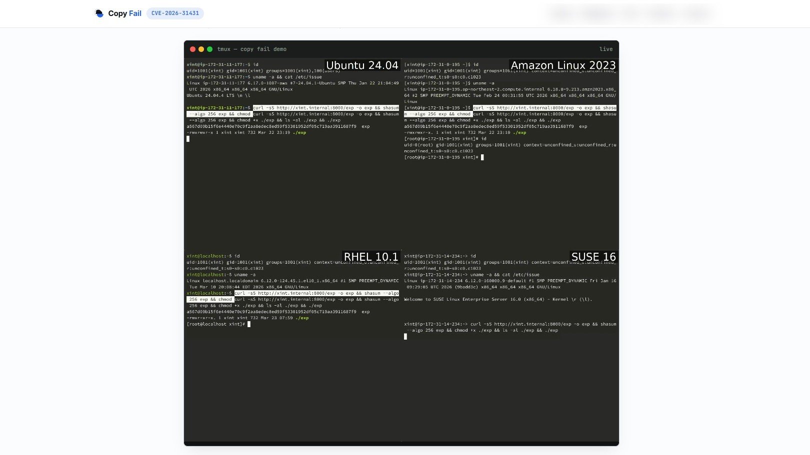 Ici, on voit le même script, quatre distributions Linux différentes, quatre accès root obtenus en une seule prise. L'exploit fonctionne à l'identique, sans la moindre modification, quelle que soit la distribution ciblée. © Copy Fail
