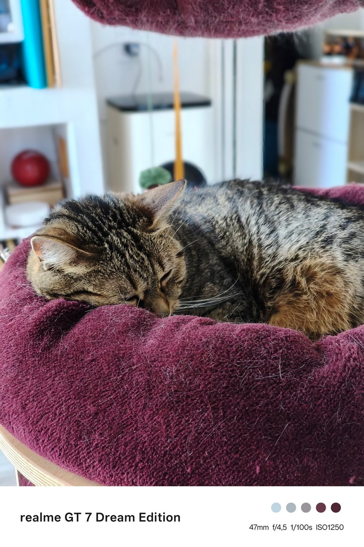 Test realme gt 7 portraits
