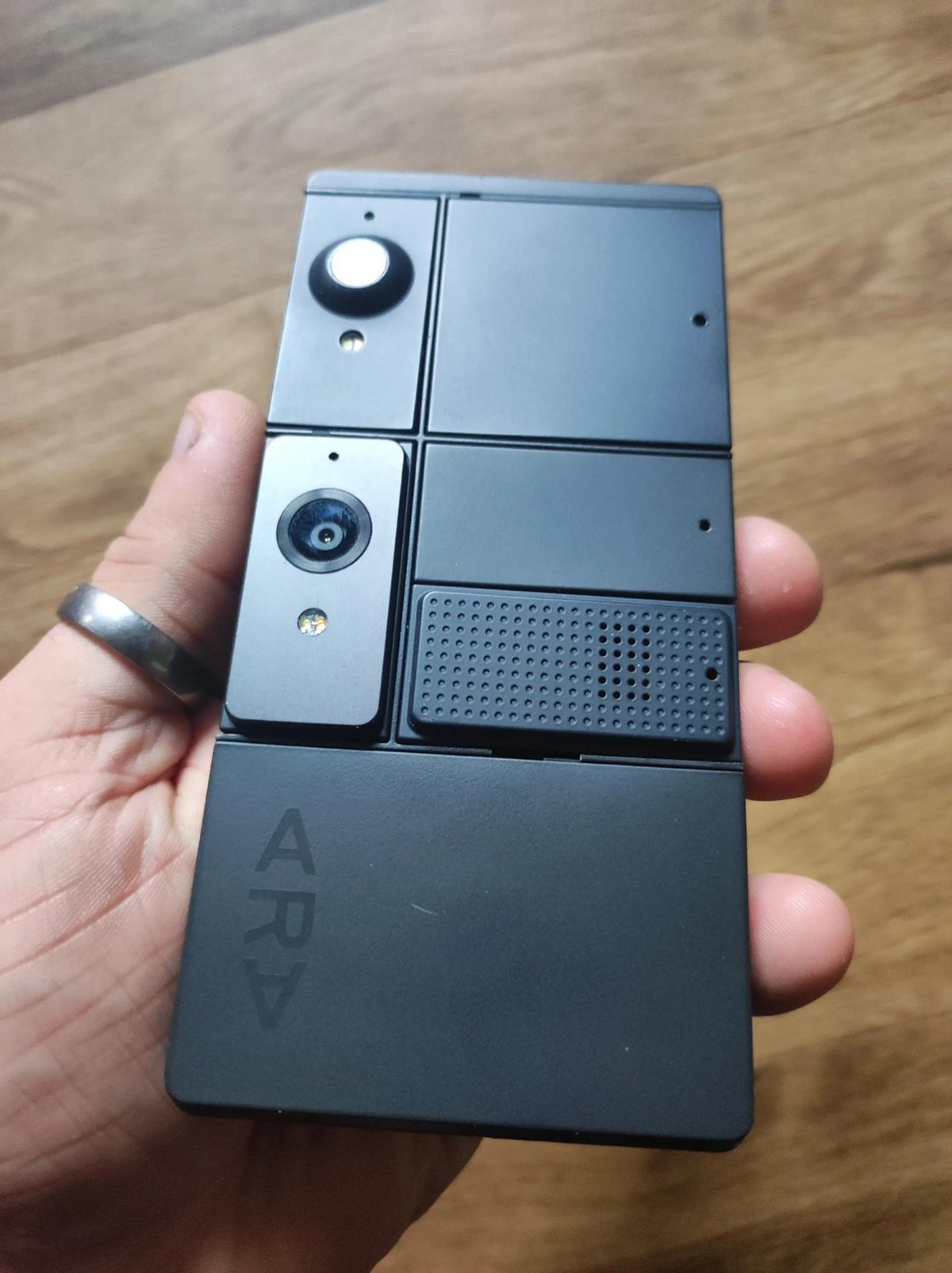 © Tiktok/@racoondetectionsquad