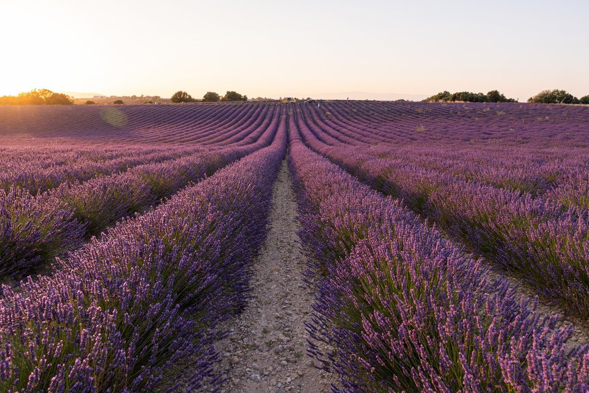 Le Sud inspire toujours les utilisateurs d'Alexa © leonov.o / Shutterstock