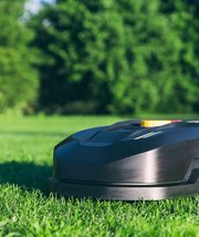 Les meilleurs robots tondeuses pour garder une pelouse impeccable tout l'été