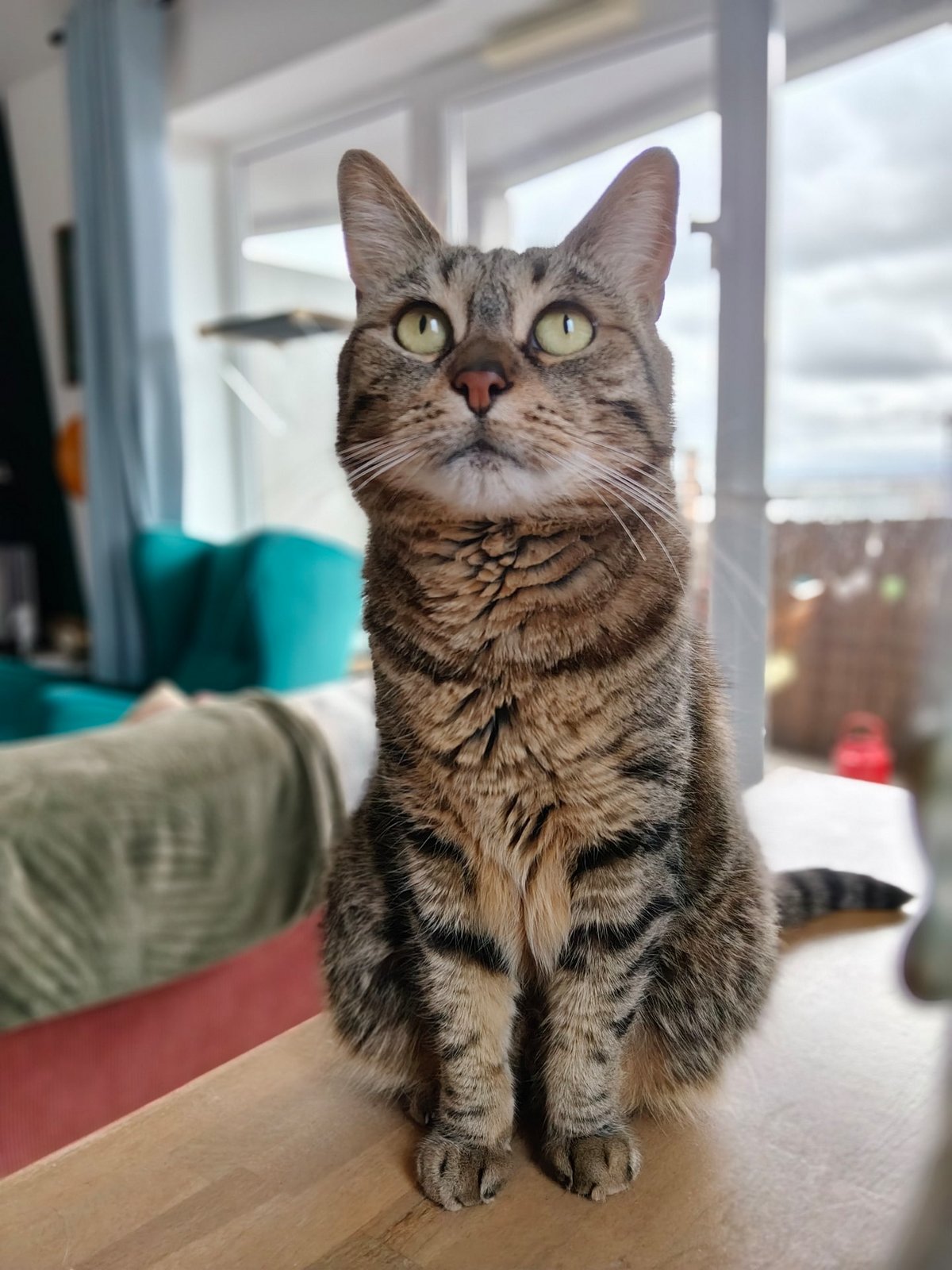 realme p3 test portrait