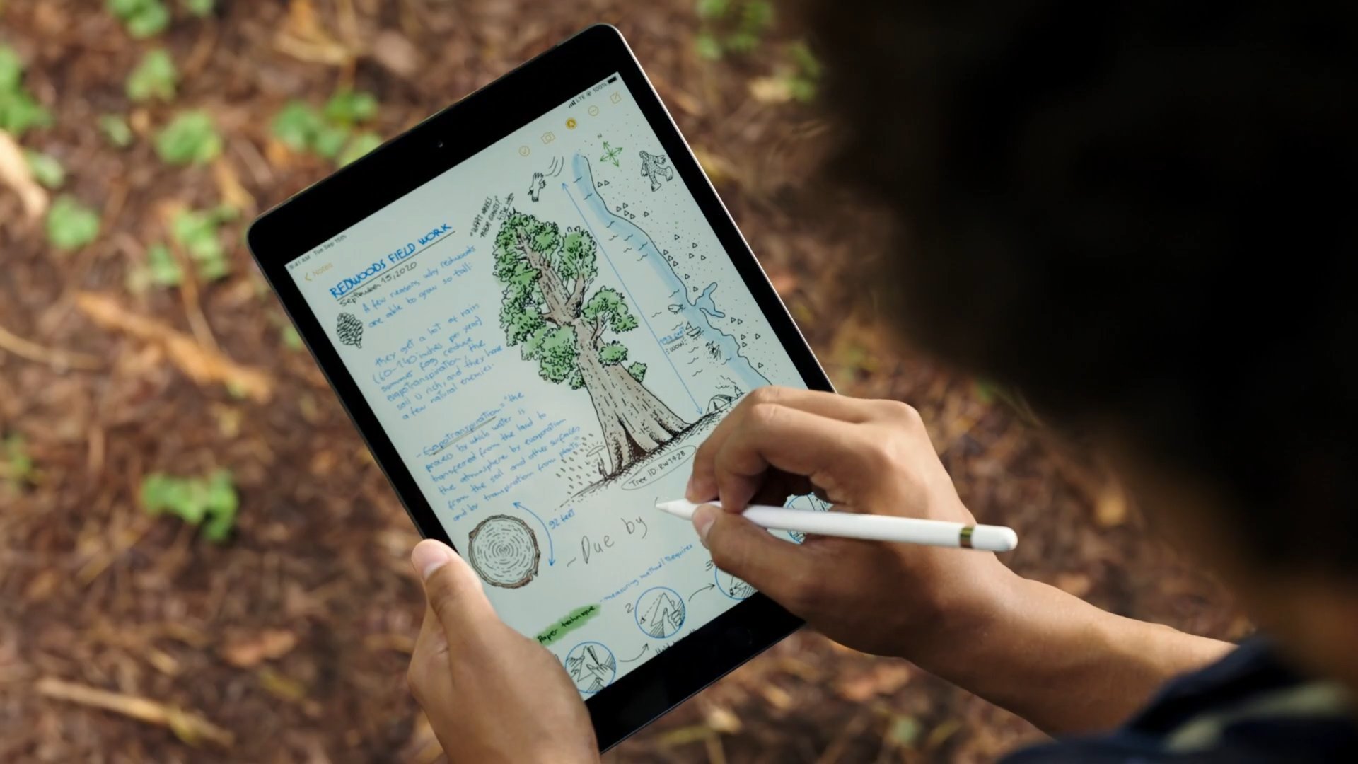 L'Apple Pencil a apporté de nouveaux usages à l'iPad © Apple