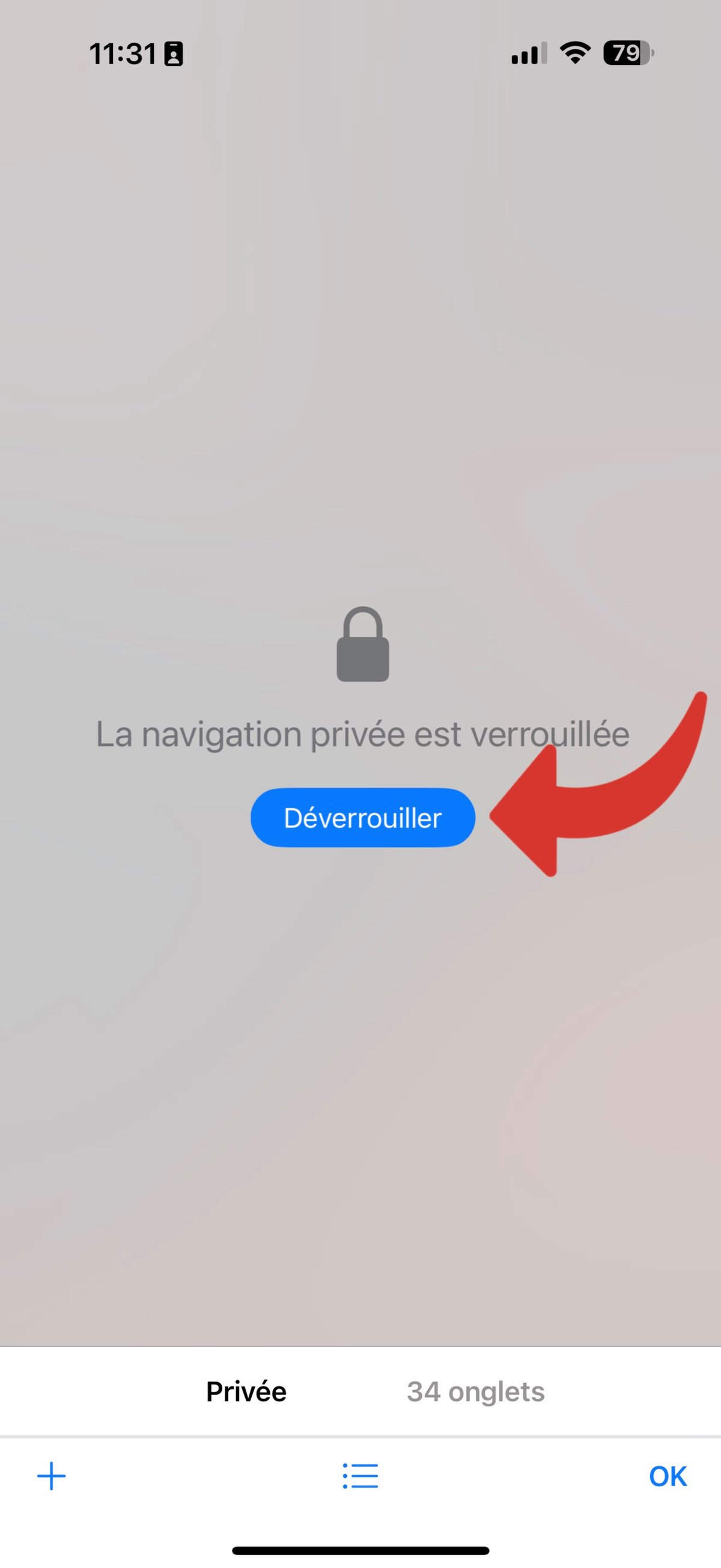 Apple Confidentialité Nav Privée verr