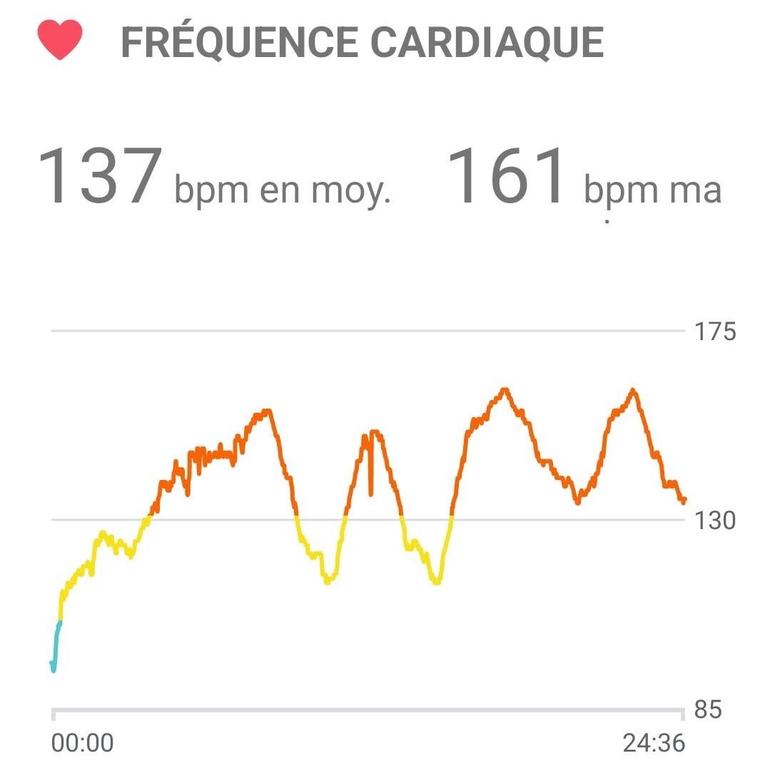 Pixel Watch - Courbe cardio