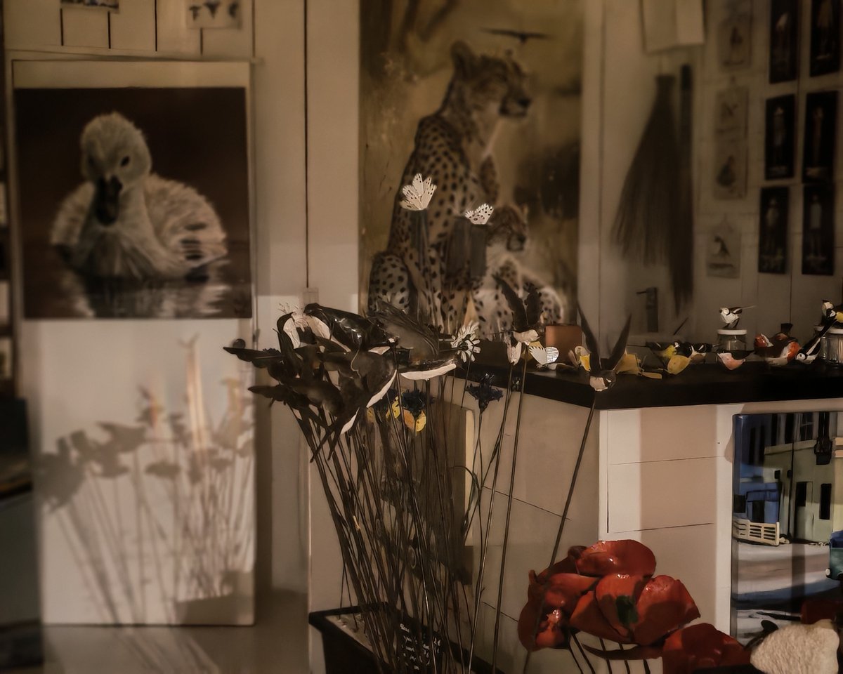 Mode portrait, au travers d'une vitrine la nuit © Marc Mitrani pour Clubic