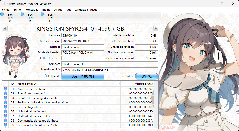 CrystalDiskInfo fait le point sur les caractéristiques techniques du SSD. ©Nerces pour Clubic
