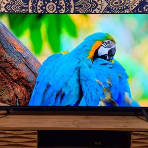 LG OLED55A2