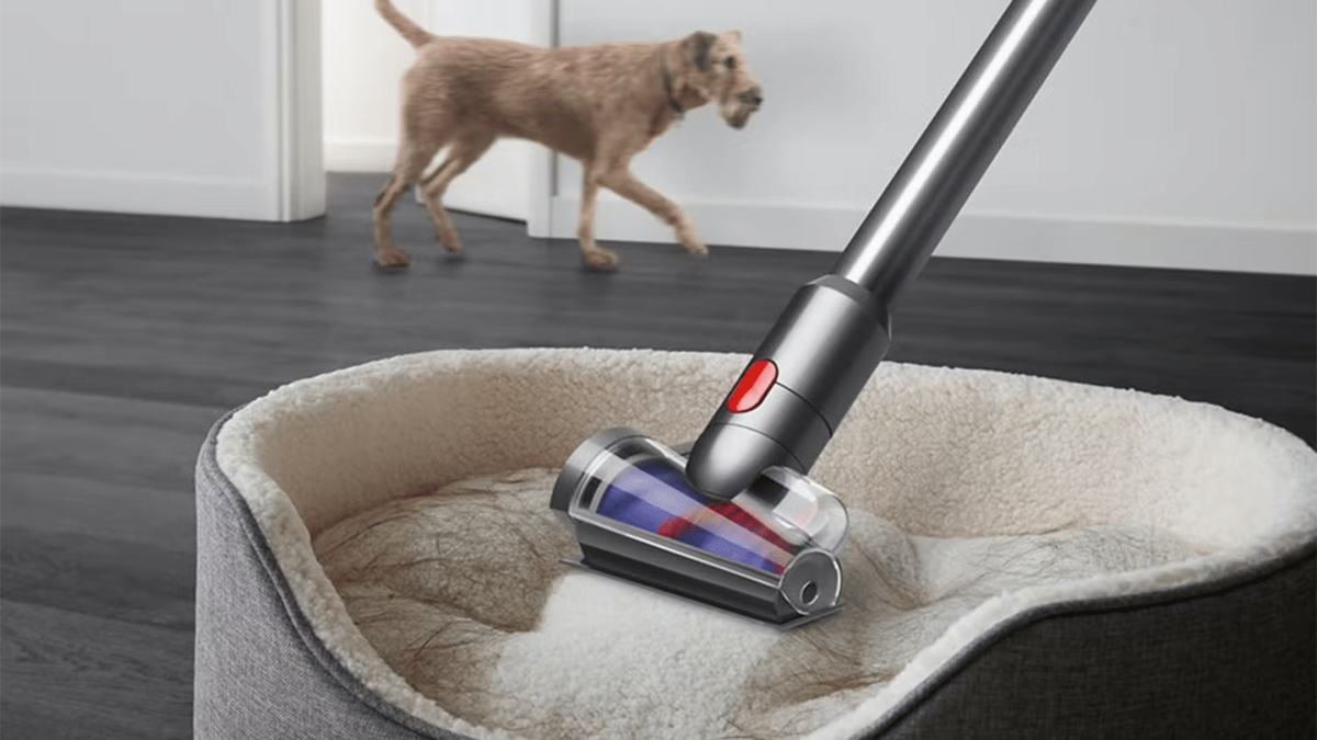 L'aspirateur balai Dyson V15 Detect Absolute