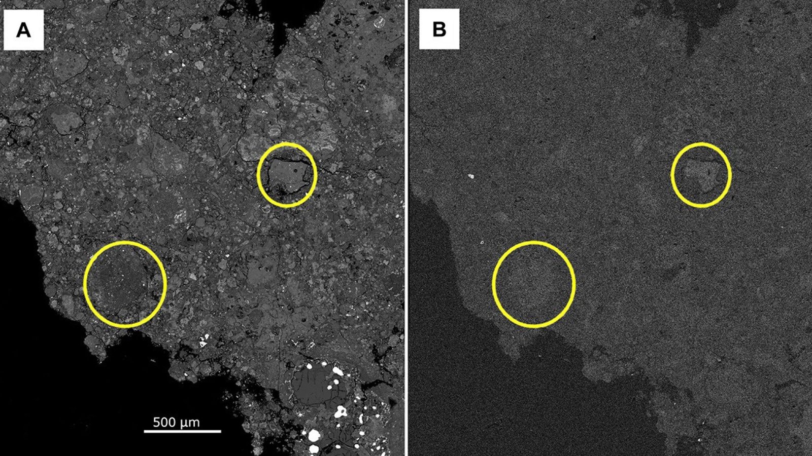 Des images des analyses menées par les scientifiques, les zones entourées sont celles qui ont attiré leur attention. ©NASA/SETI