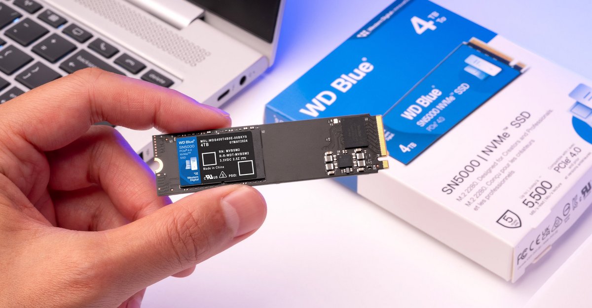 Le WD Blue SN5000 rend accessibles les grandes capacités de SSD © Western Digital