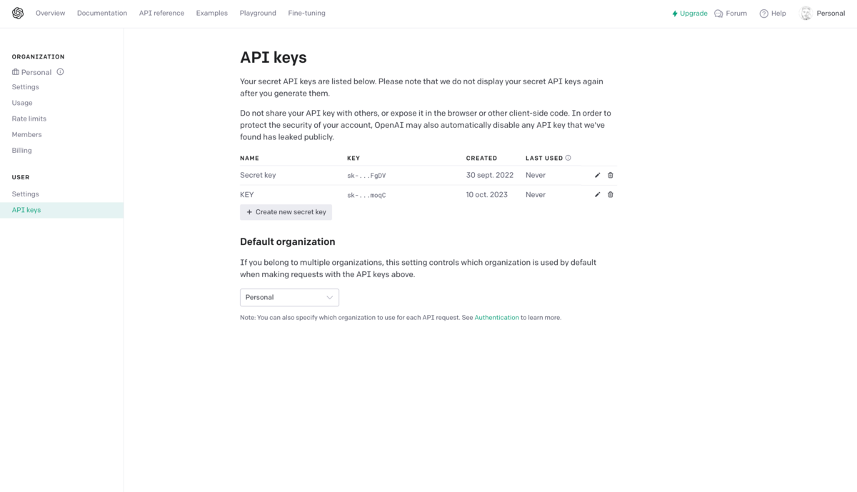 OpenAI api key