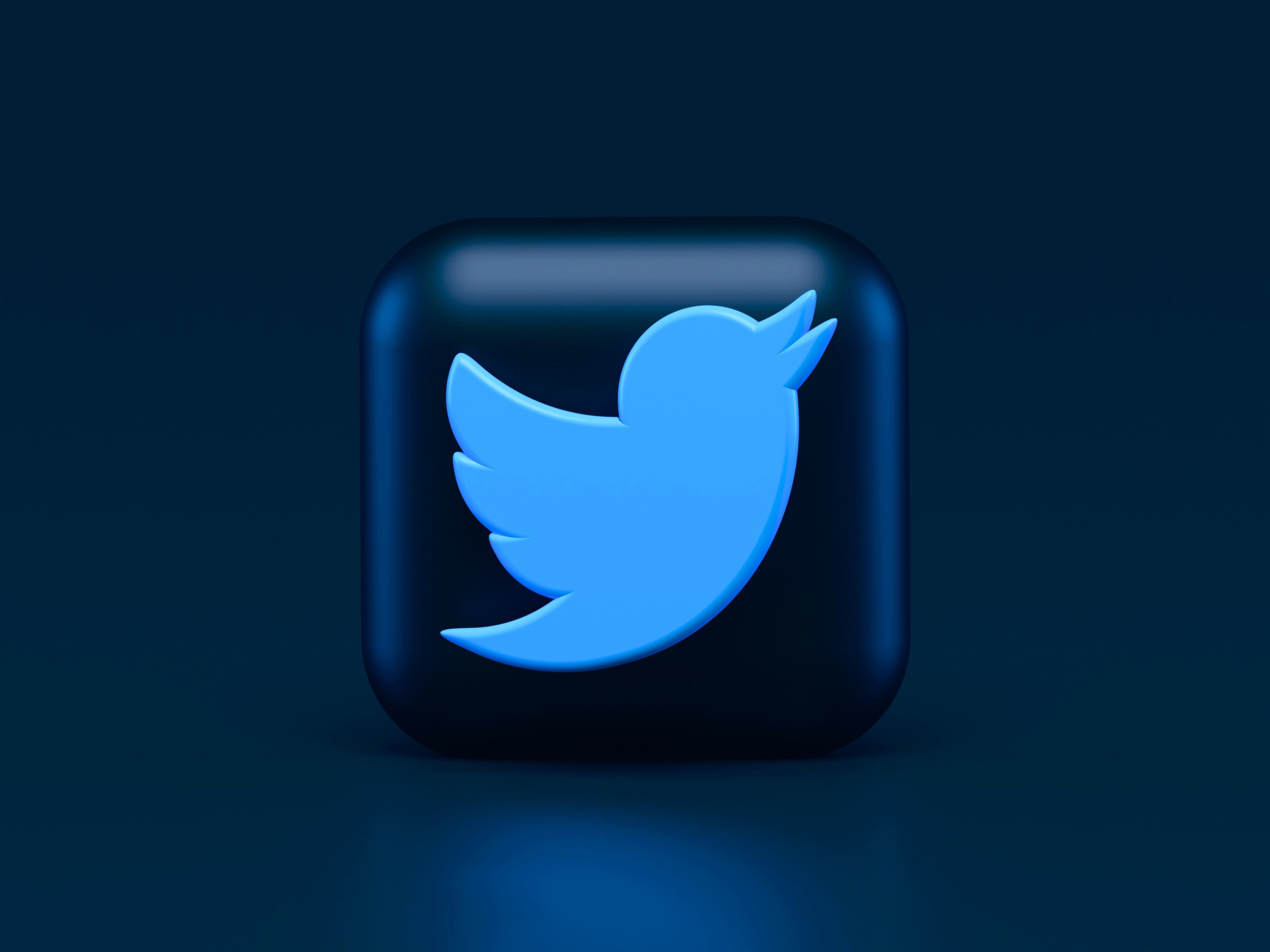 Logo Twitter