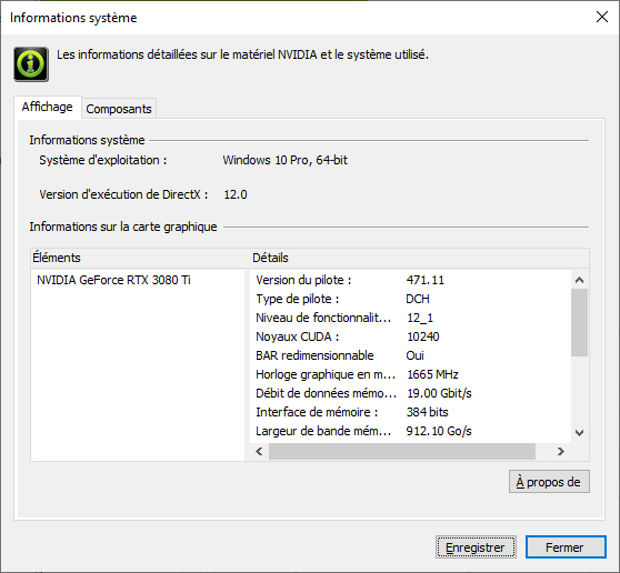 La mention DirectX 12 est bien visible, pas le WDDM © Nerces