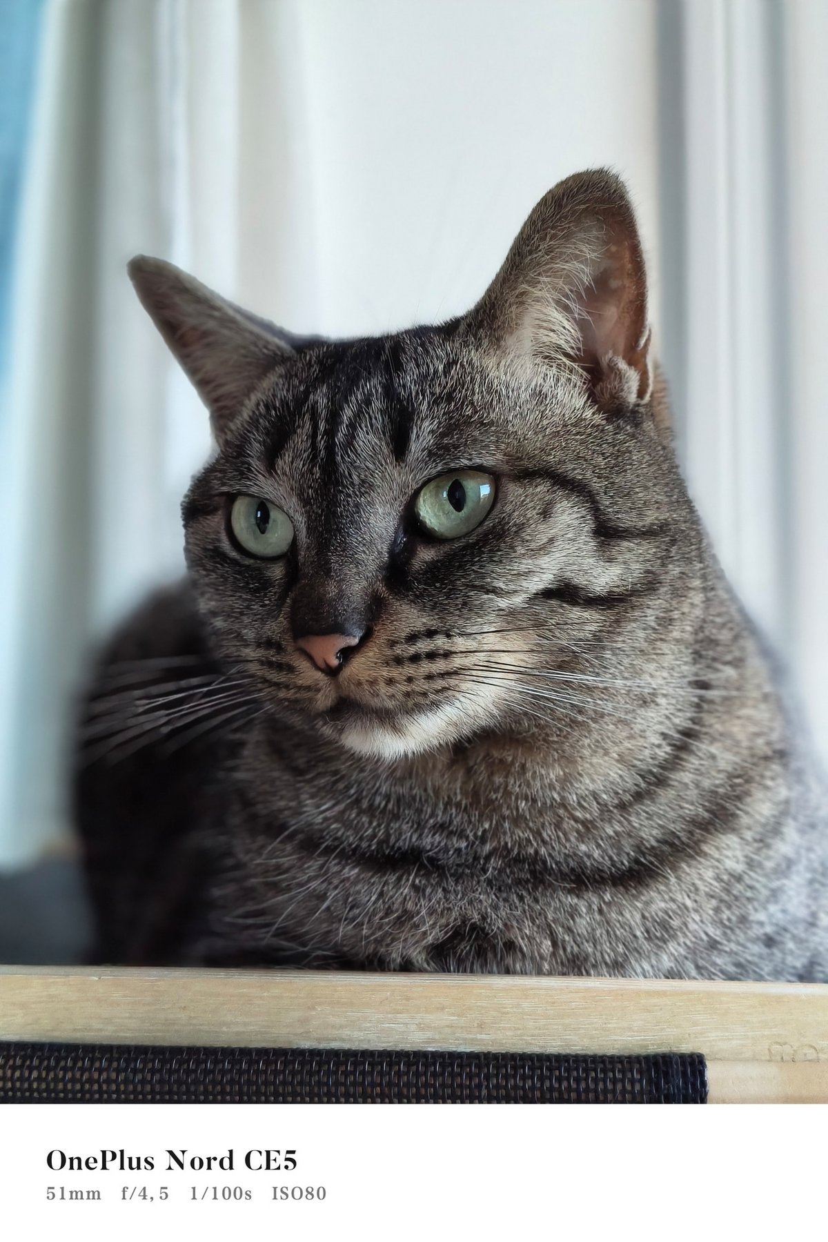 test oneplus nord ce5 portrait
