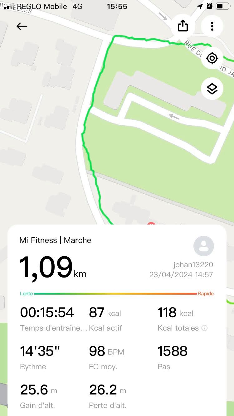 Mi Fitness - suivi GPS 3