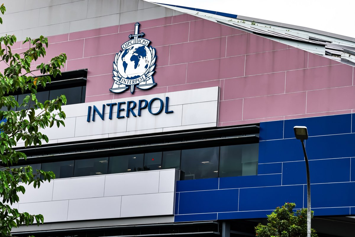 Crypto, scams, faux : ce que révèle la méga-opération d’Interpol contre la cybercriminalité en Afrique. © Dr David Sing / Shutterstock