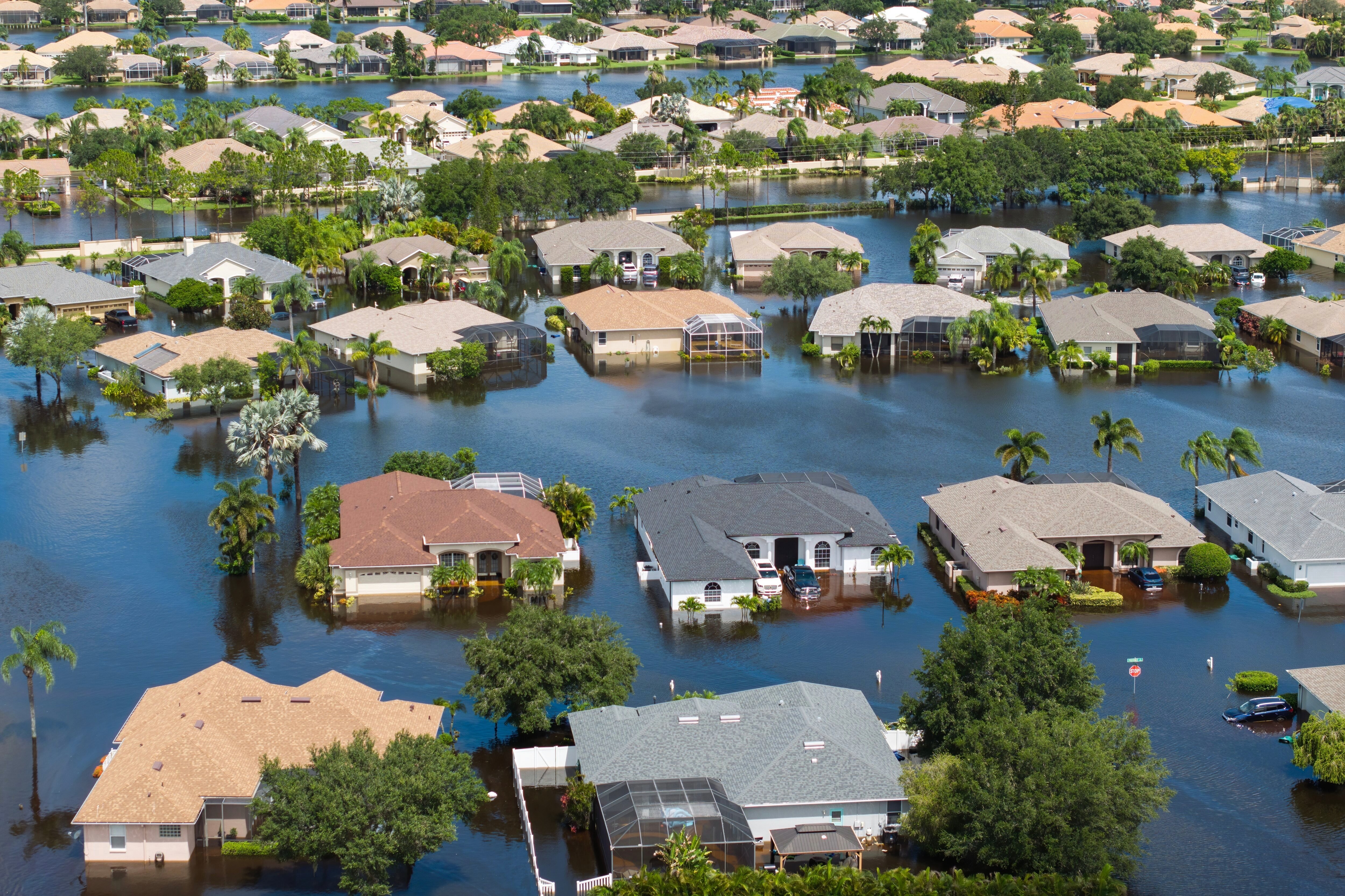  Maisons inondées après le passage de l'ouragan Debby (2024), à Sarasota en Floride.  © Bilanol / Shutterstock