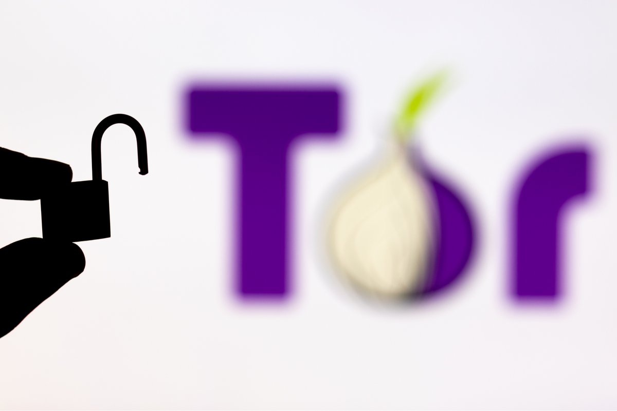 Tor sous surveillance : des internautes identifiés malgré les promesses d'anonymat © Alberto Garcia Guillen / Shutterstock.com 