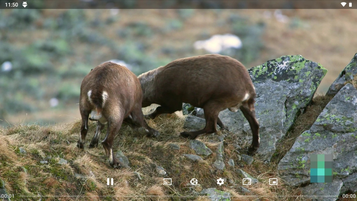 YTV Player propose une interface Android simple et fluide, conçue pour lire des vidéos rapidement tout en restant légère, stable et respectueuse des données personnelles - © YTV Player