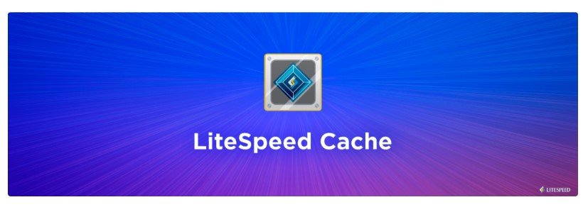 Le plugin LiteSpeed est utilisé par 5 millions de créateurs de sites  - © LiteSpeed