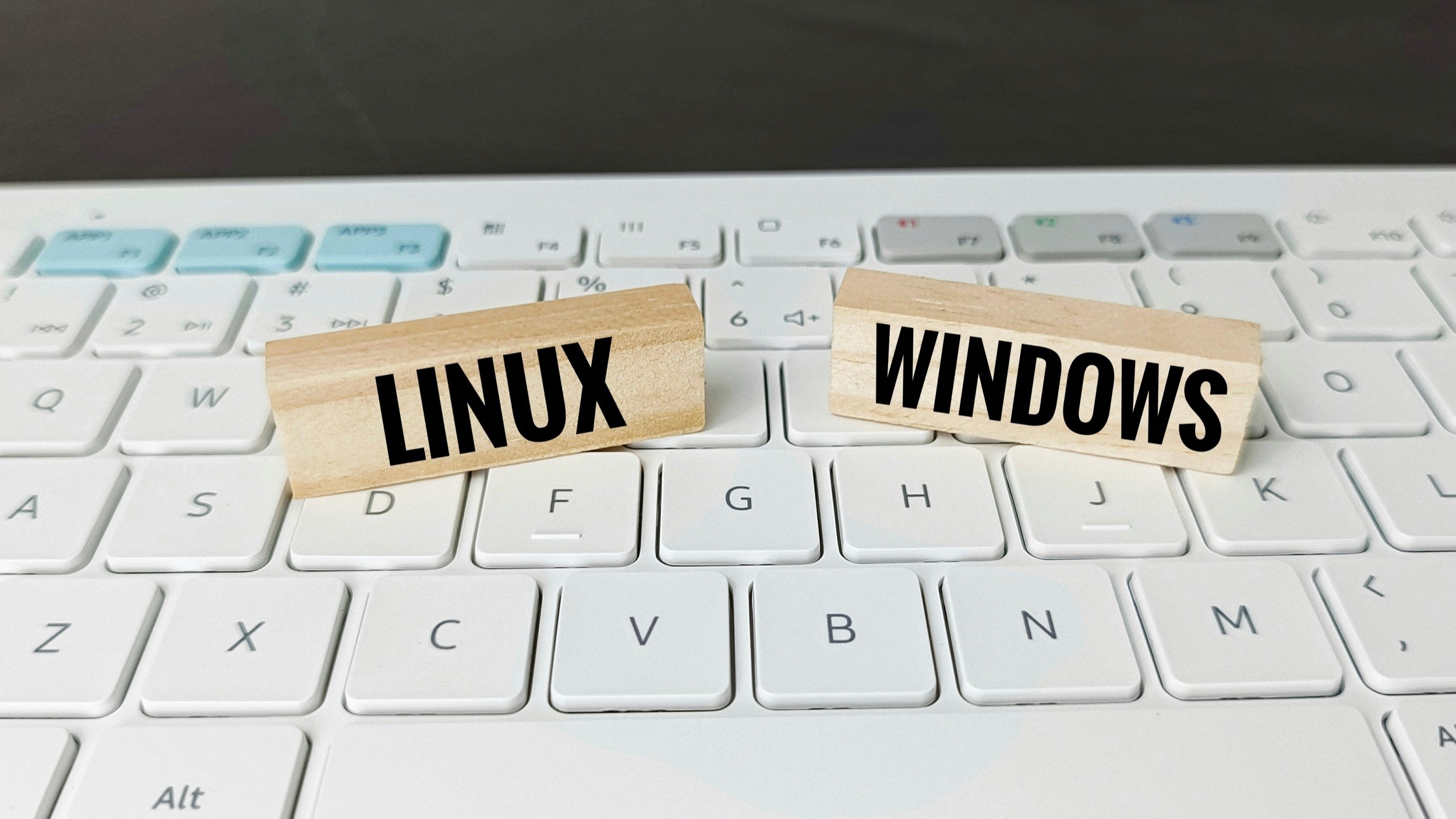 Windows 11 se rapproche encore de Linux pour séduire les développeurs. © SsCreativeStudio / Shutterstock