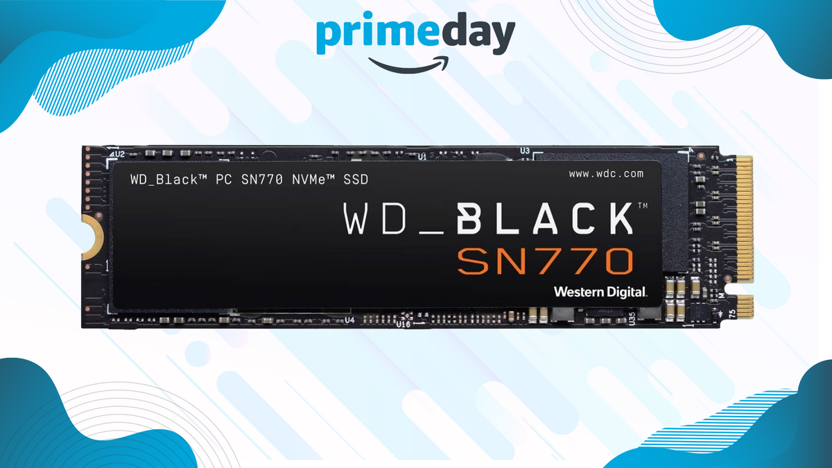 Le WD_Black SN770