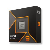 AMD Ryzen 9 9900X