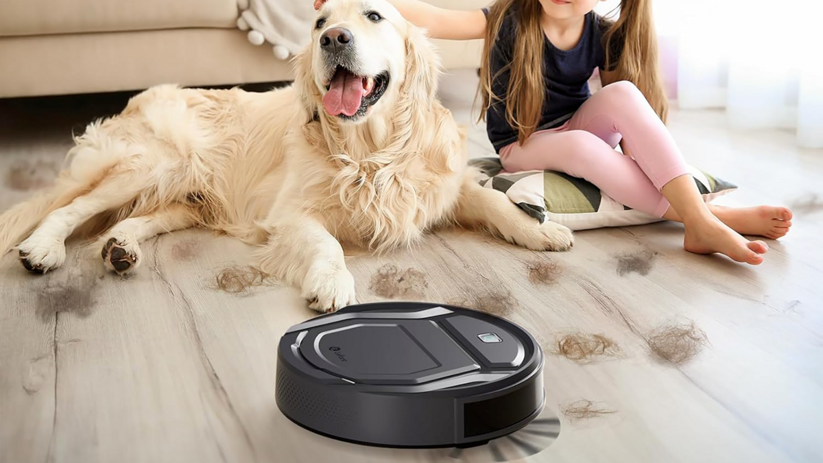 Le Lefant M210P est spécialement adapté pour aspirer les poils de chien sans bloquer la brosse. © Lefant