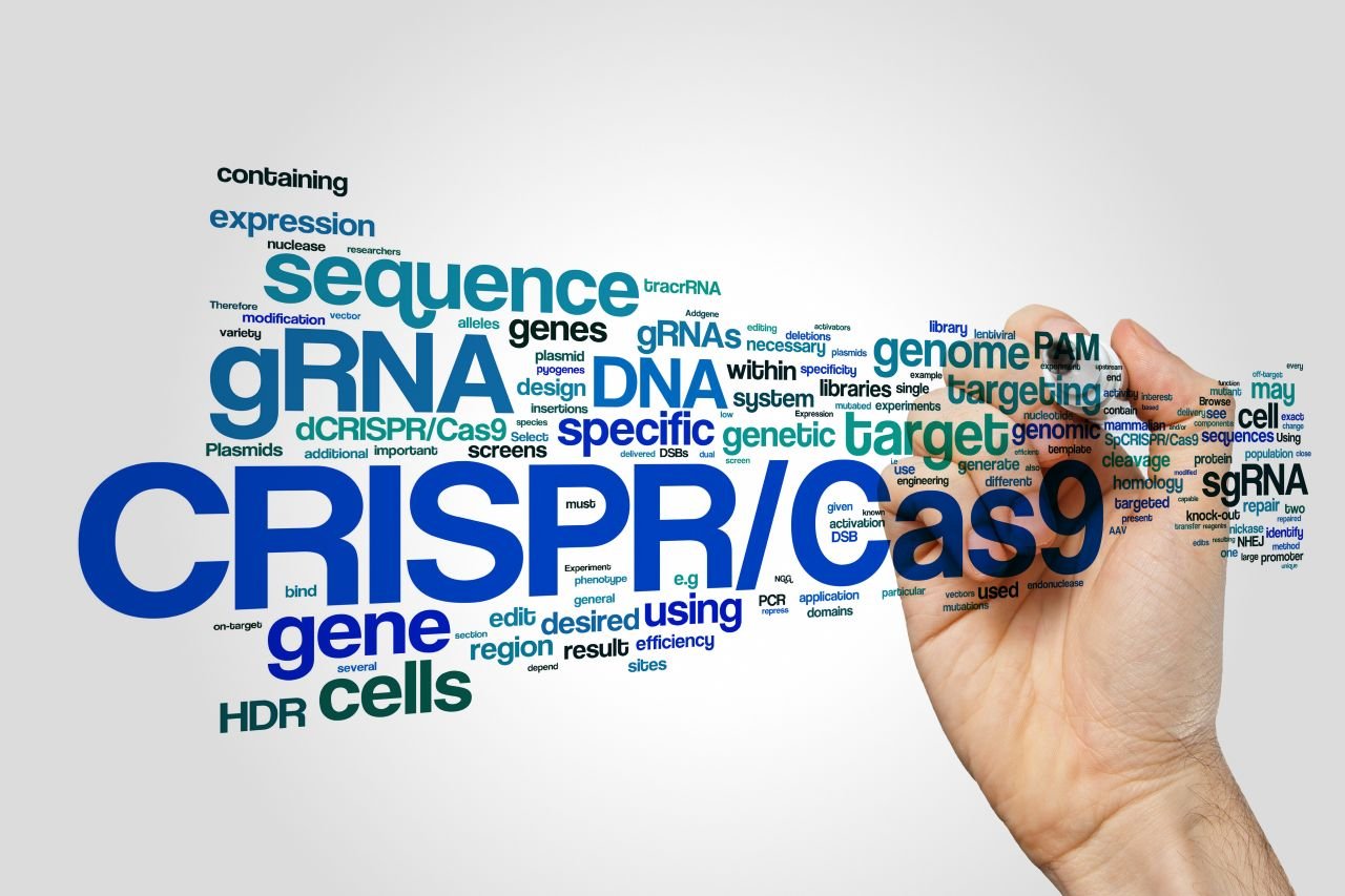 Cas13 attaque directement l’ARN viral, tandis que Cas9 diminue la vulnérabilité des cellules humaines - ©ibreakstock / Shutterstock