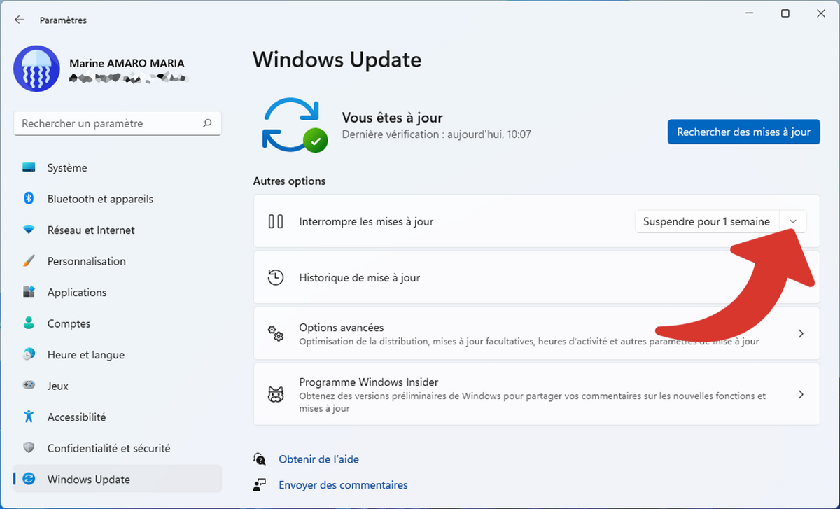 Windows 11 Paramètres Windows Update interrompre mise à jour