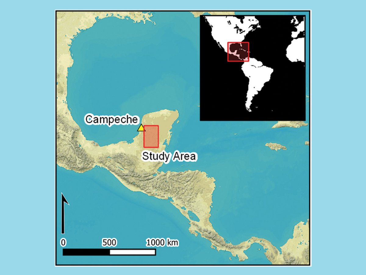 L'emplacement de la cité maya © Luke Auld-Thomas/Antiquity