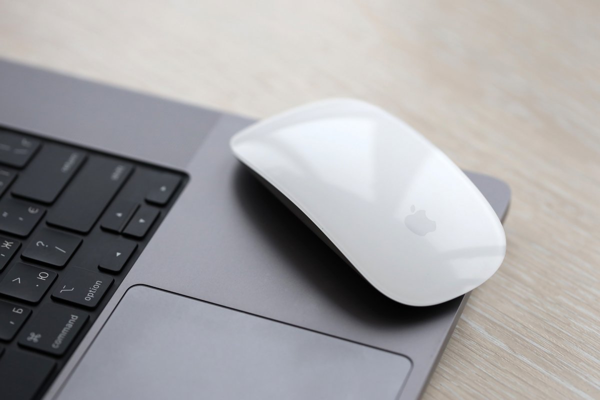 La Magic Mouse d'Apple. © Mehaniq / Shutterstock