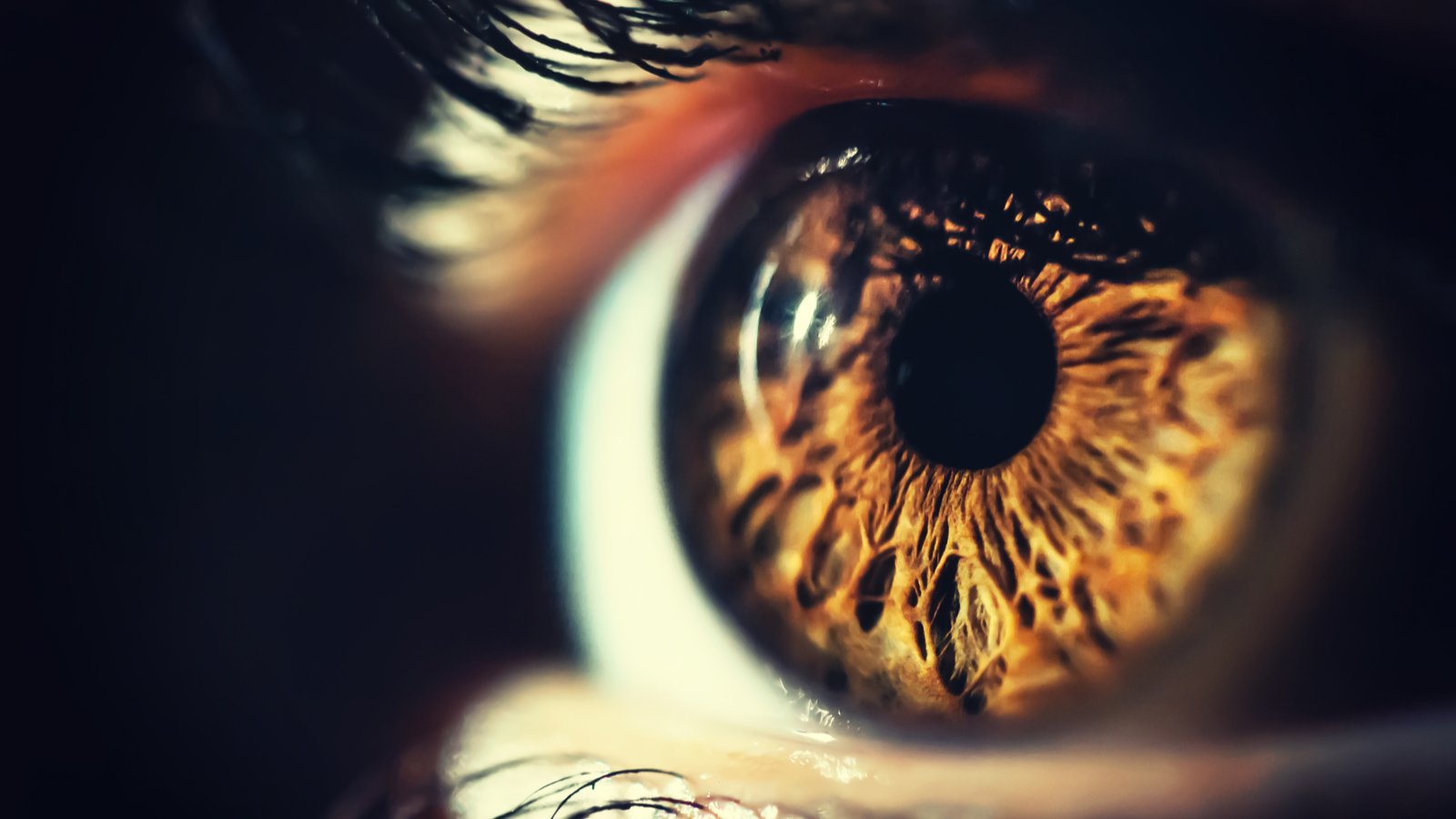 Un oeil humain vu de près © Shutterstock.com