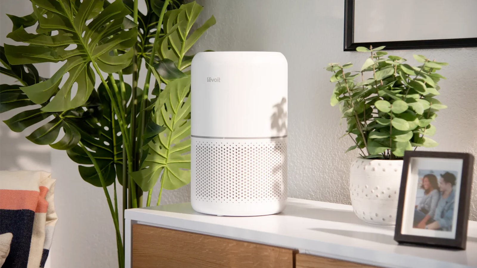 Allergies, poussière, fumée : ce purificateur d’air fait le ménage dans l'air de votre maison © Levoit