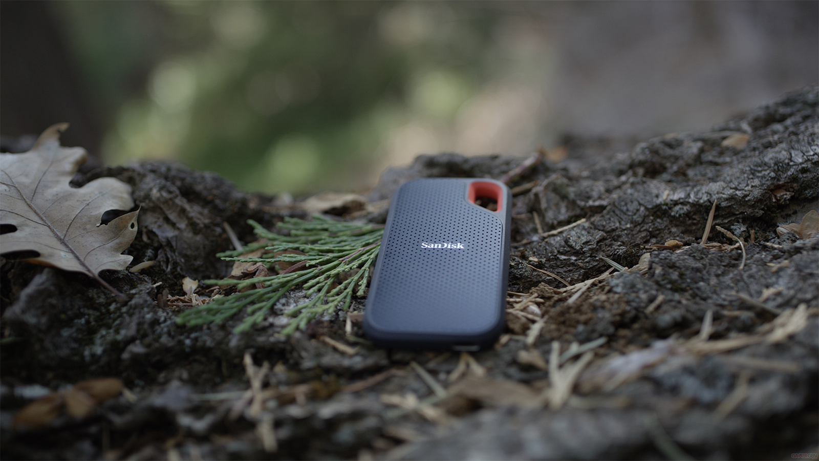 Le SSD SanDisk Extreme 2 To