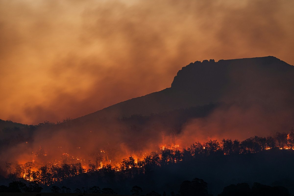 Les incendies sont de plus en plus nombreux en raison du réchauffement climatique. © Matt Palmer / Unsplash 