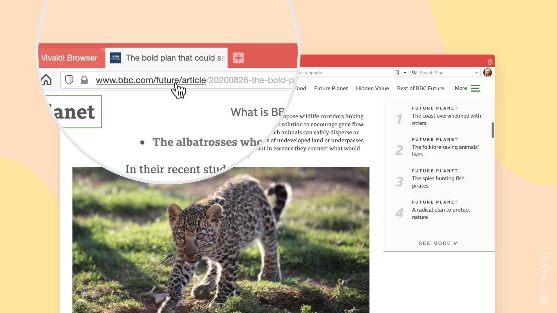 Vivaldi 3.3