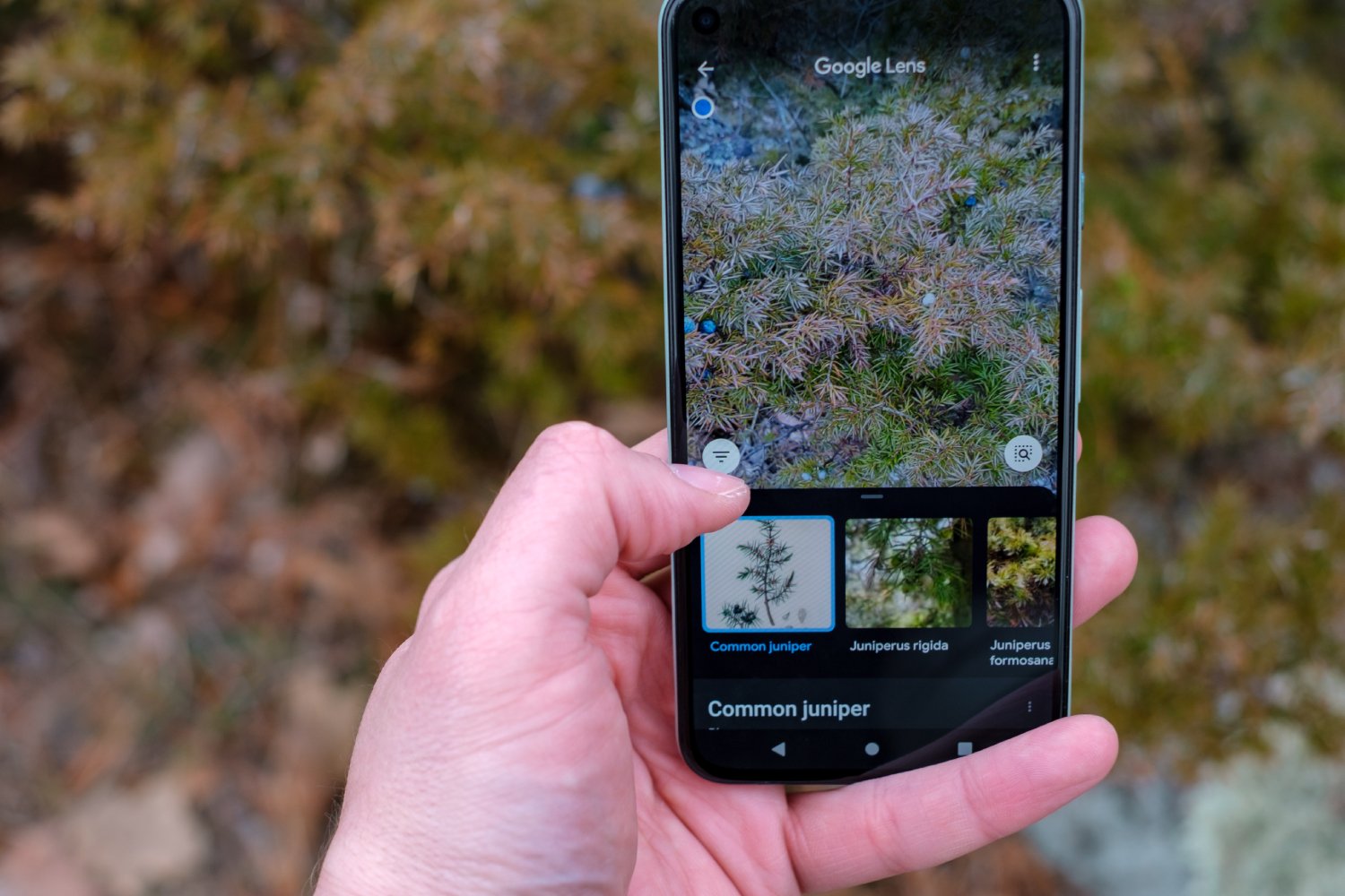 Google Lens arrive dans YouTube. ©Colin Temple / Shutterstock