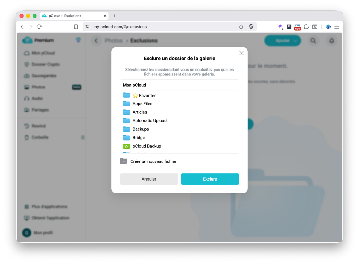 pCloud - l'exclusion des dossiers