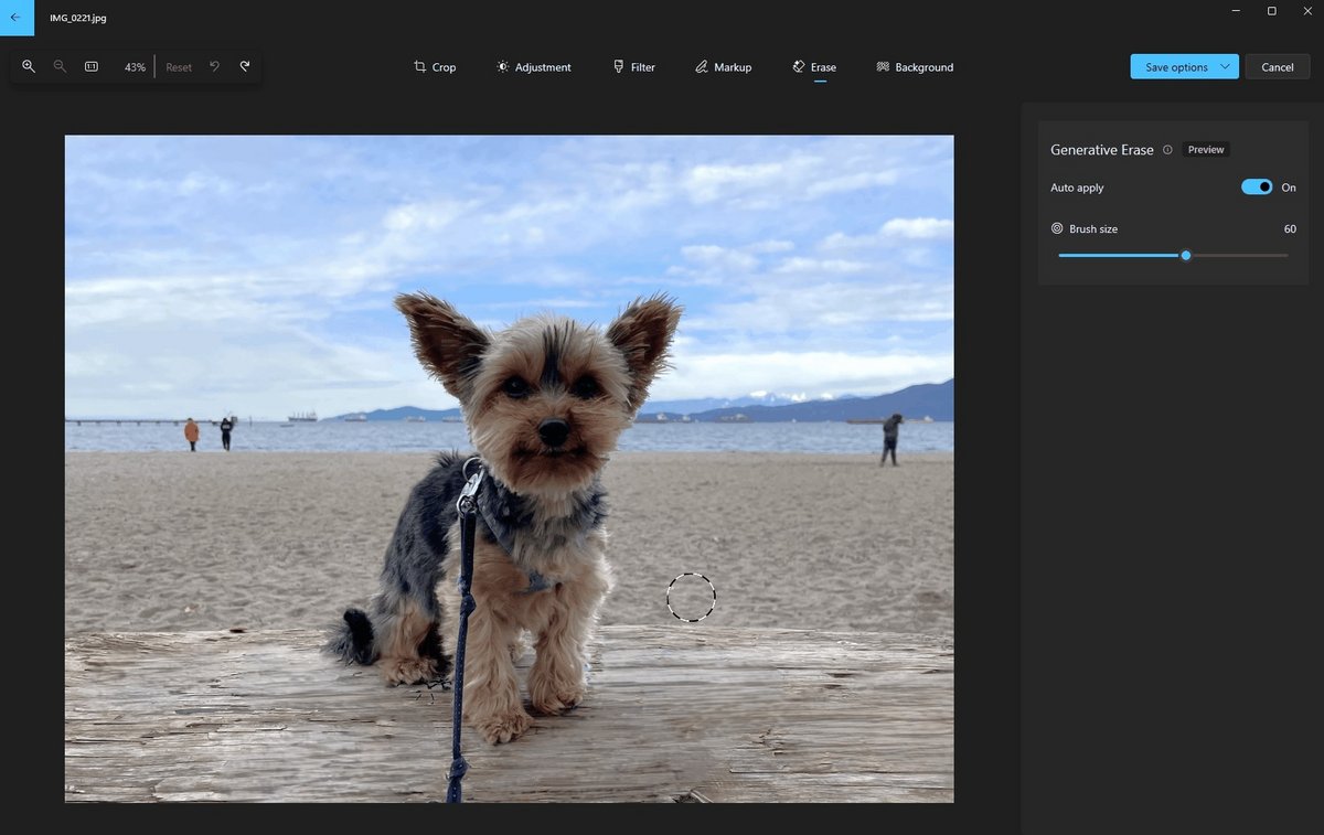 Un premier aperçu de Generative Erase, le nouvel outil d'IA développé pour Microsoft Photos © Microsoft