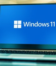 Windows 11 24H2 : les insiders n'ont momentanément plus accès au déploiement de la preview
