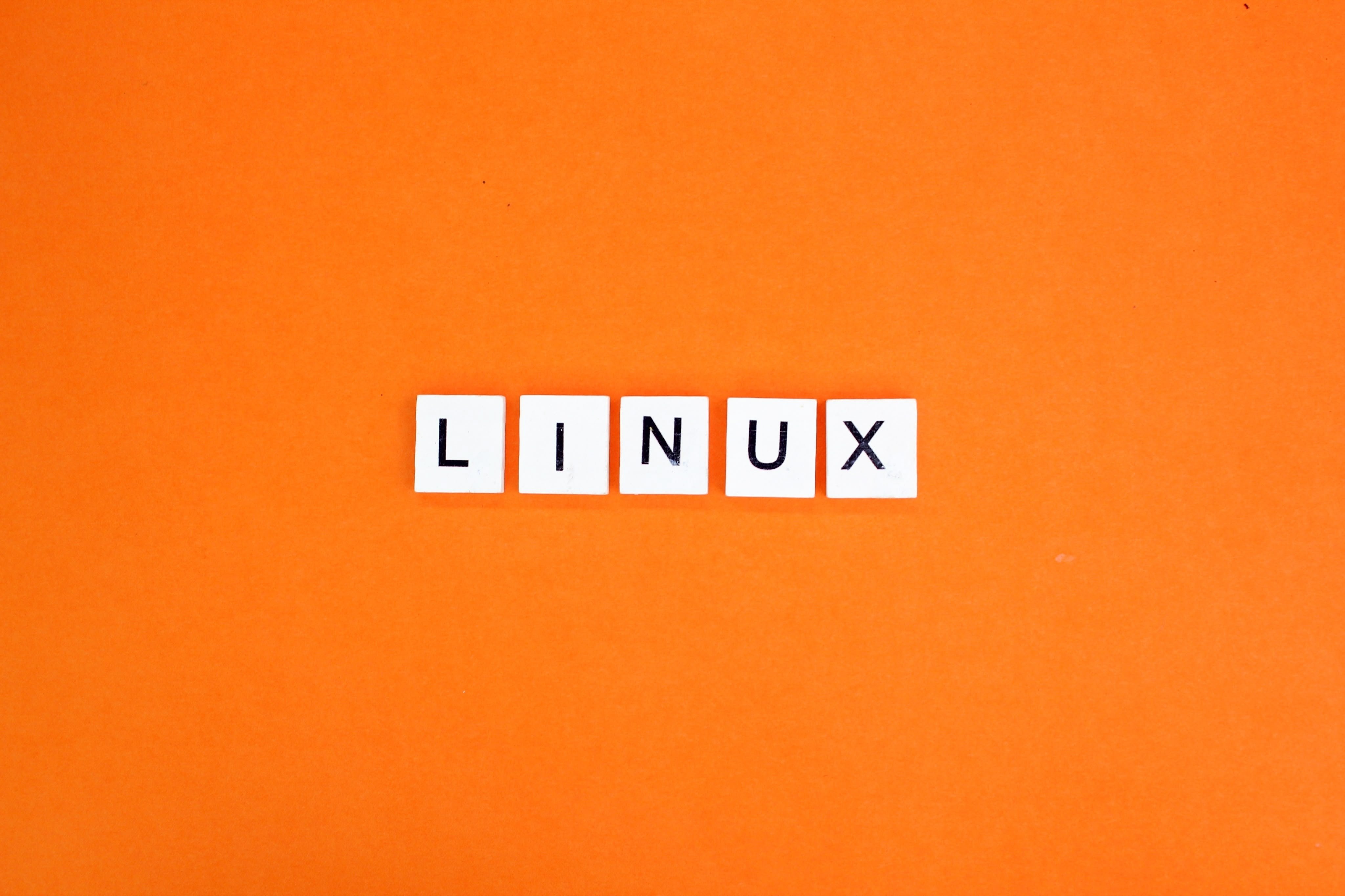 Linux a le vent en poupe ! © Shutterstock