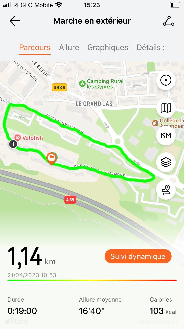 Huawei Santé - Suivi GPS