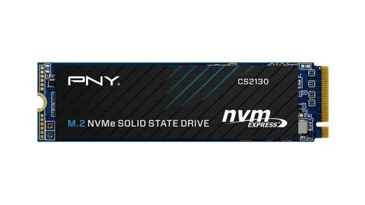 pny 500go nvme 1600