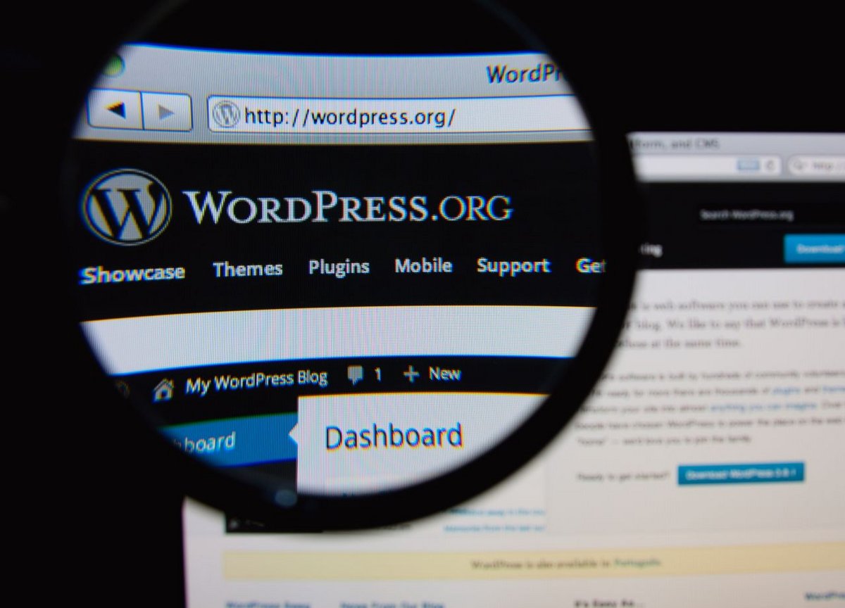 Un break de fin d'année ou une fermeture pour WordPress.org ?© Gil C / Shutterstock