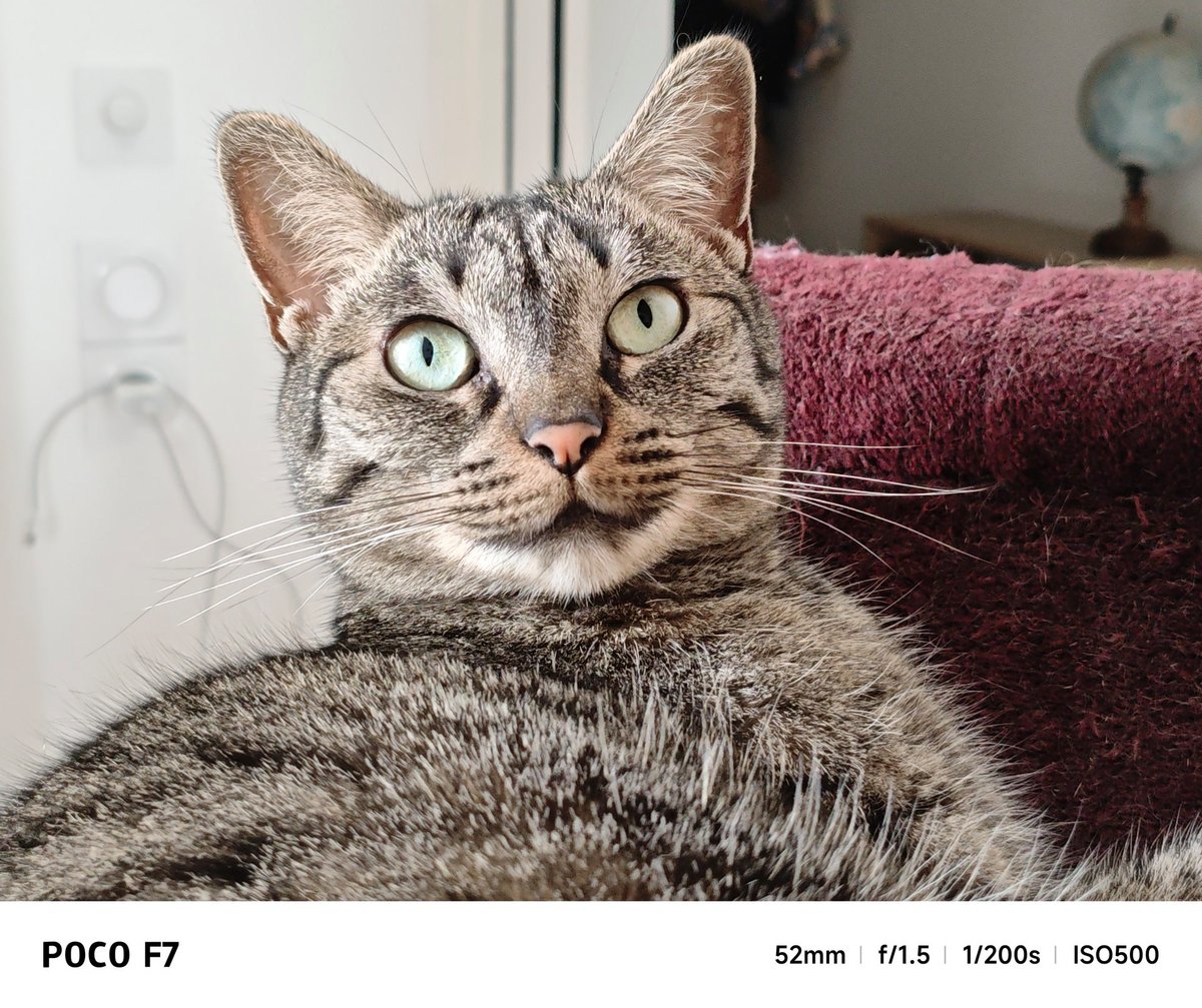 Test POCO F7 portrait