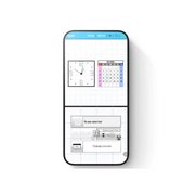 DS & DSi Launcher