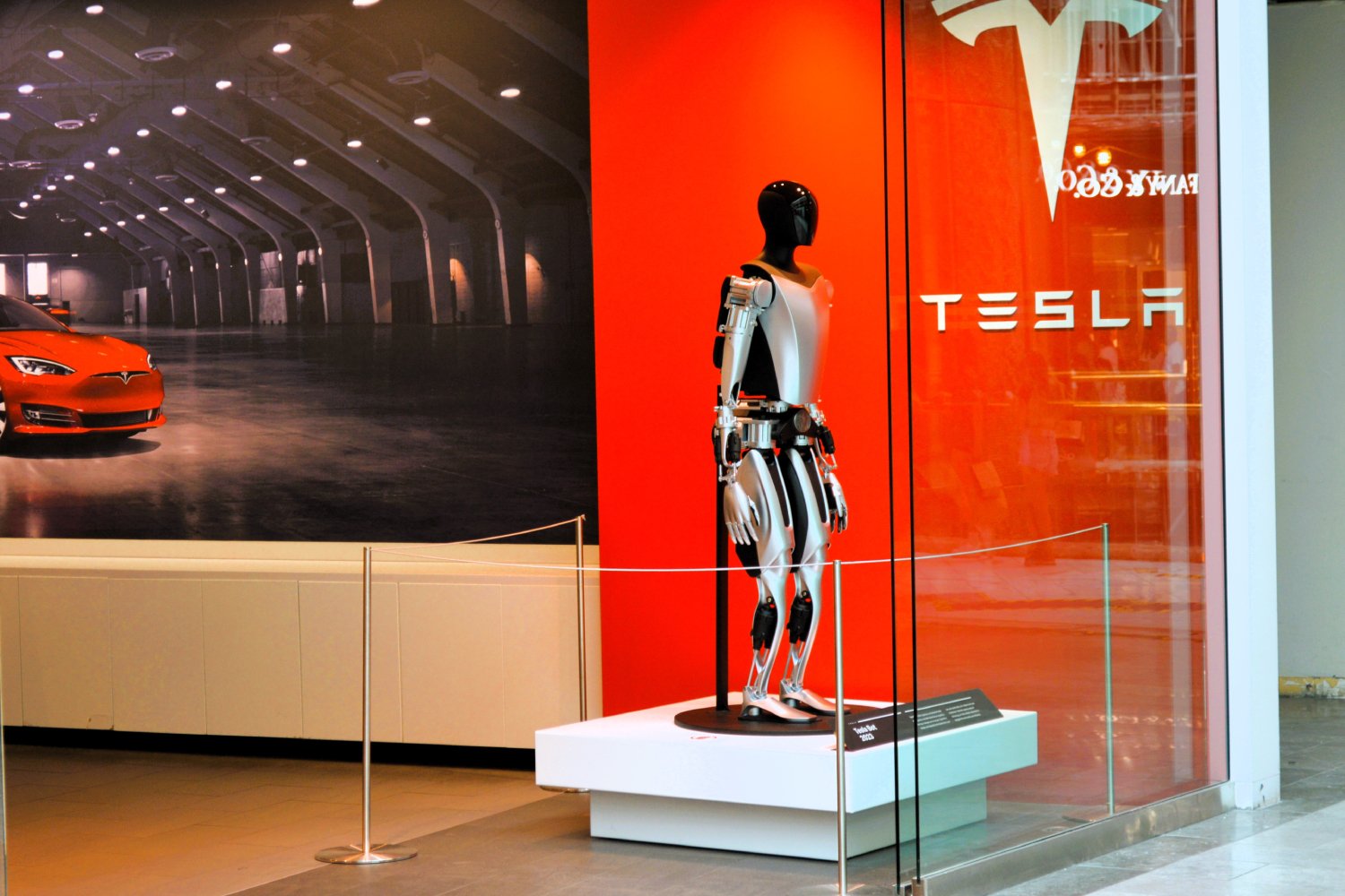 Tesla mise gros sur son robot Optimus. ©Around the World Photos / Shutterstock