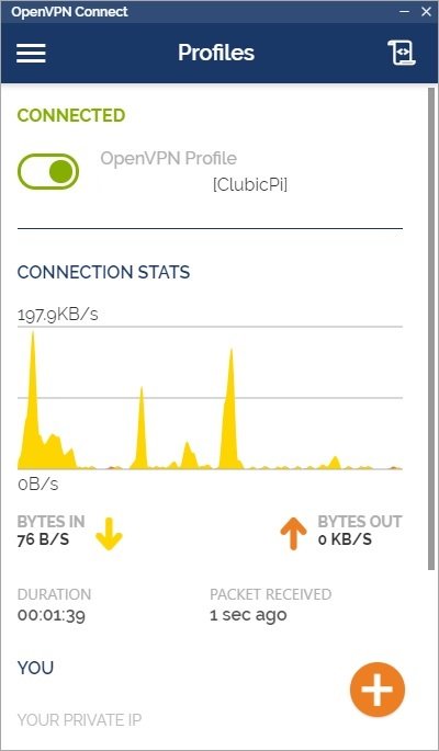 OpenVPN Connect